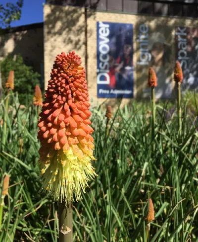 A Quiet Day and a Lengthy History of the West End of 8th Street