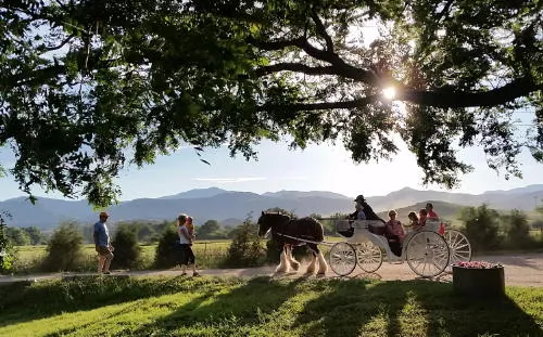 Wildfire Protection, Historic Photos and GIS, and Thoughts of Secession