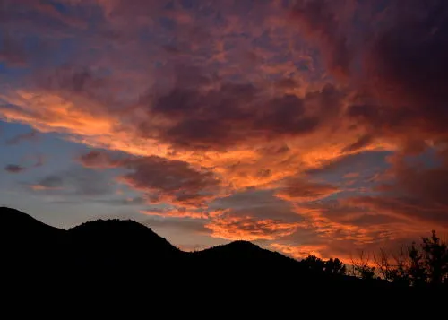 The Creek, Compliance, a Concert, and a Campground