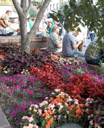 New Stats, MTAB, and Picturing History