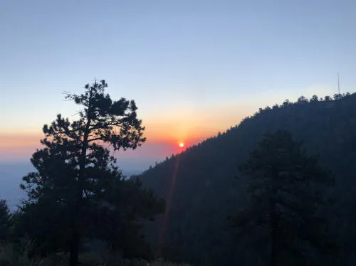 CBAC (Maybe), Music, Garden Tours, and an Obscure Street Reference