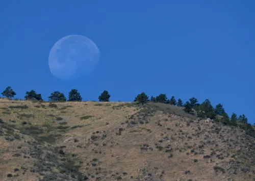 Farmers Market, Yoga, Log Cabins, and The Bomb