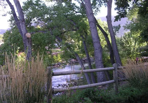 Art, Music, and Neon