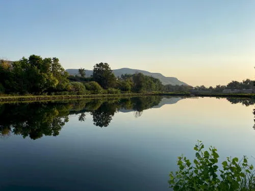 Mysterious MTAB Meeting, Trivia, Fun Run, Vegan Charcuterie, and Lots of Music