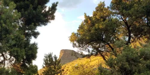 Four New Cases, a Watercolor Class, and Explosive Fat