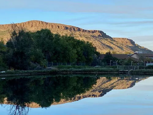 Dinosaurs, a Concert in the Library, a Striking Moon, and Meyer Hardware