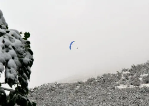 Artists, Botanists, and Climbers Tonight – The Arrival of the Railroad and the Departure of the Coors Building
