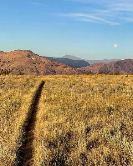 Covid & Coffee, Movies & Music