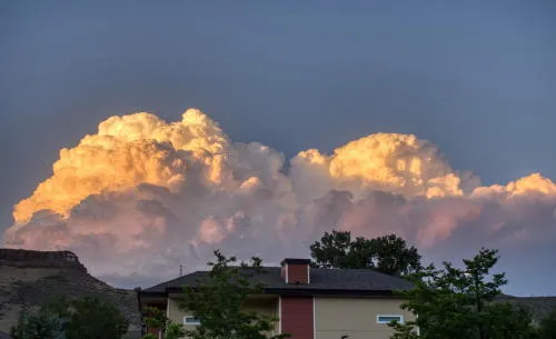 Five MORE New Cases, City Council, and Coors Greenhouses