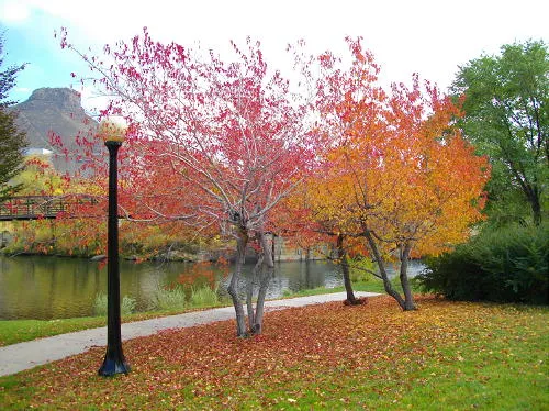 Six New Cases, Endless Things to Do, and a Portable Building