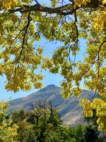 Using the Legacy Fund, Moonshining, and This Date In (Recent) History