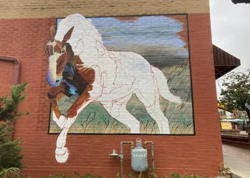 Nine New Cases, a Leaping Horse, At-Home Classes, a Surprising Number of Real World Activities, and a Haunting Memory