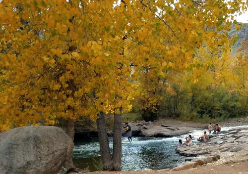 Indigenous Literature, GURA Projects, Triceratops, and Territorial News