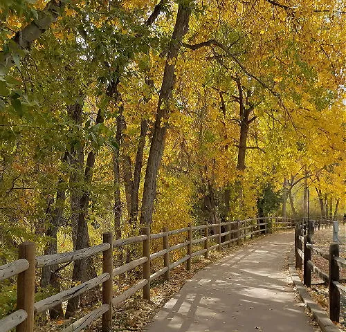 Lovely Colors, Mini Quilts, a Craft Fair, and Advice from the Great War