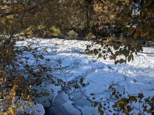 Coronavirus, Frozen Creek, Sustainability, S’mores, and Shops of Horrors