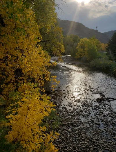 Dinosaurs and Whales, Racism, Voting and Zoning