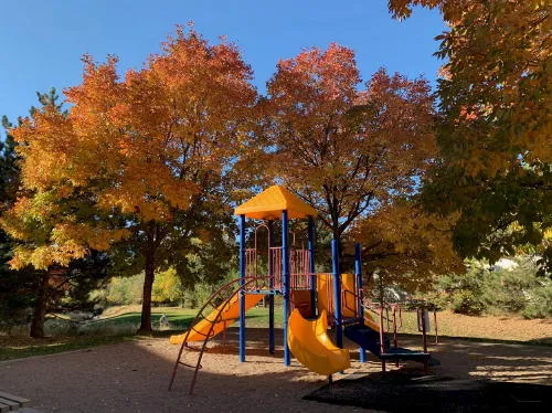 Coronavirus, Used Books, Tree Limbs, Railroads, Interactive Theater, Beer for Firefighters, Suicide Prevention, and Cheap Electricity