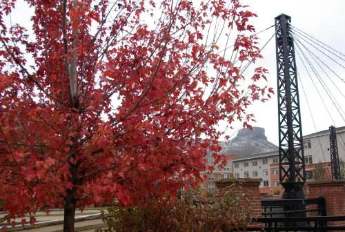 Art, Music, No Parking, and Meeting (or Meating)