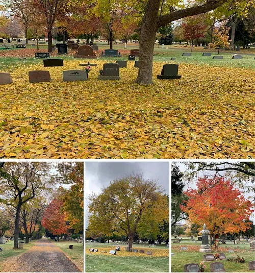 Cemetery Tour, Growth in COVID Cases, Zoning Code Changes, Miners Strike, Railroads, and Humble Beginnings