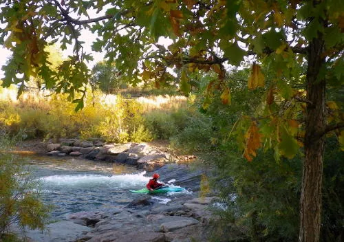 Artist Gathering, Scientific Beer, Live Theater (of the Dead) on the Streets, and a Visiting Dignitary