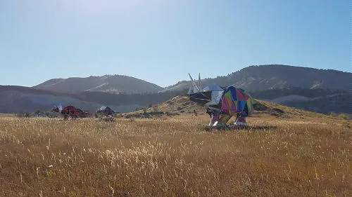 Native Fauna, 7 New Cases, Motorcycle Lessons, Pool Reopening, and Life in 1959