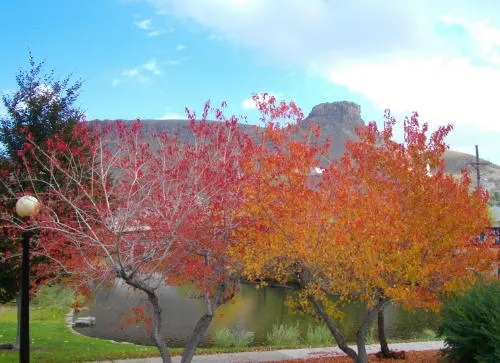 Six New Cases in Golden, Halloween Event, Spectacle on Washington Avenue, and the End of a Stack