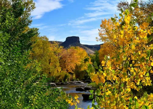 Color on the Creek, Coronavirus, City Council, and Burro Rides