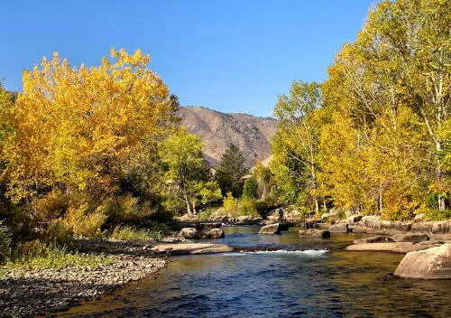 Gardens and Monsters and Worms, Bike Paths and Sidewalks, and a Politically Inconvenient Escape