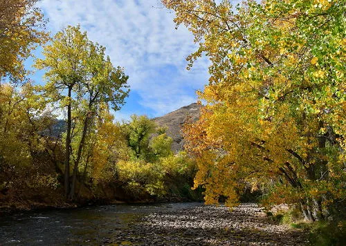 Gorgeous Weather, Steep Climbs in Coronavirus, and Checking the Railroad Effects