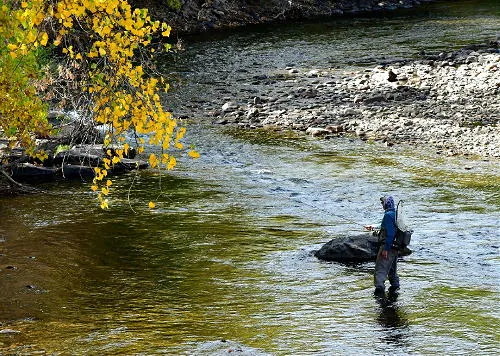 Coronavirus, Council, Cocktails, and an 1879 Blue Law