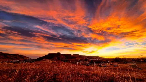 Museum Store Sunday, Pure Water with a Side of Germs