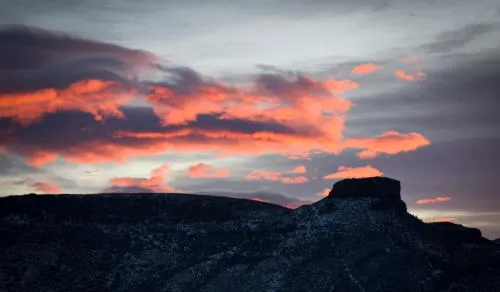 COVID Stats, Zoning Code, and Seventies Scufflaws