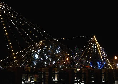 215 New Cases and 13 New Deaths, Archosaurs, Sustainability, Art Market, and the Gazebo