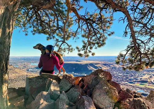 Several Plays and Better Days