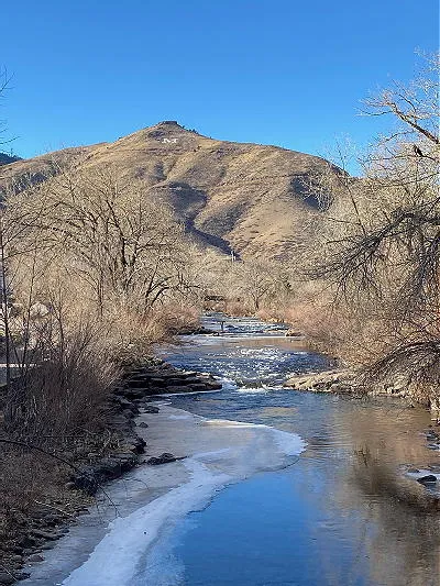 South Golden Neighborhoods, Chowing for the Coyotes, and Inaugurations as Non-Events