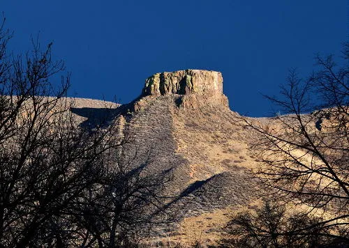 Weekly Watercolor Classes, Dining In Returns, English Paper Piecing, and Early Sewers