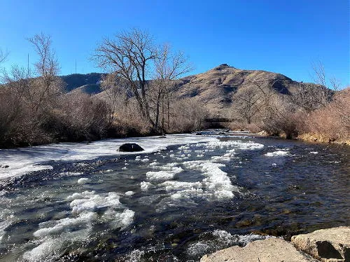 Sunday and Scofflaws