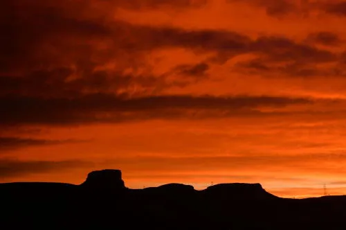 Virtual Games, a Real Art Class, Brunch, a Walking Tour, and Chicken Thieves