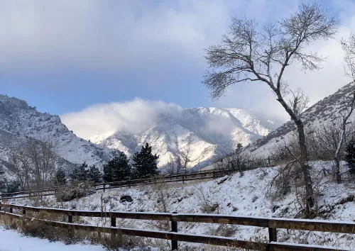 Apartment Discussion Continues, Summer Camps Enrolling, and Sewers, Part 2