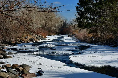 Many Library Events and Liquefying the Rubey Bank