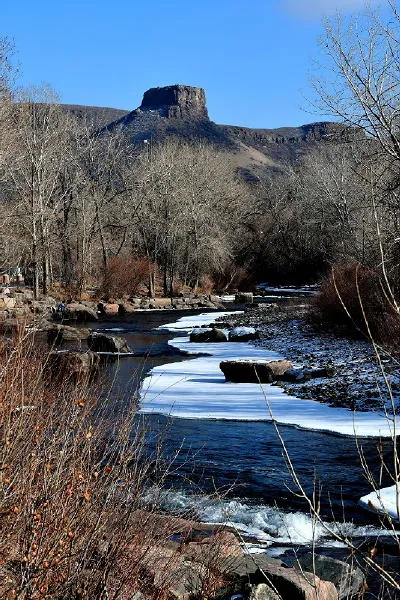 Surveillance Cameras, Radon, a Bad Road and a Very Good Dog