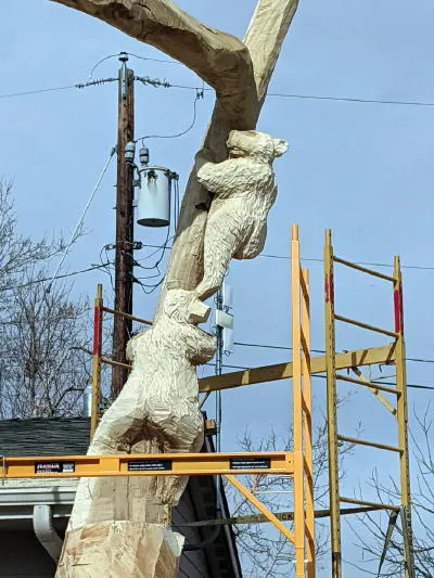 A Family of Bears, Vaccines, DDA Activities, and Penny Night