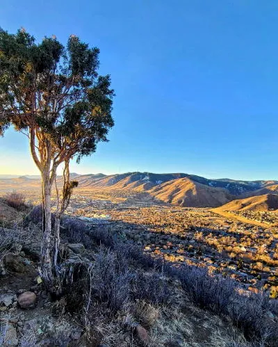 Take a Tour, See a Play, Enjoy a Concert, and the Velocity of Scrip