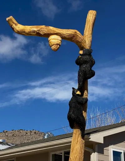 Resident Bears, Vaccine Updates, Sustainability Requirements, and the Birth of Berthoud