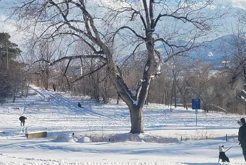 Thoughts of Sledding