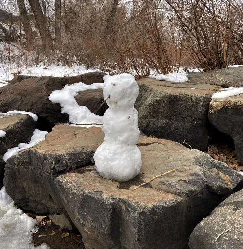 Leprechauns, Live Music, and a Year of History