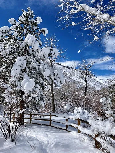 New Snow and a Century-Old Newspaper