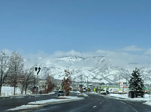 Watercolor, Rezoning, and Gruesome Accidents