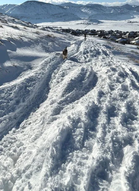 Ski Golden, No New Stats, and Lots of Car Crashes