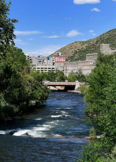 Looser Mask Rules, Watercolor Class, Goosetown Property, and the Rebirth of Beer